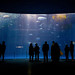 Nagoya Aquarium