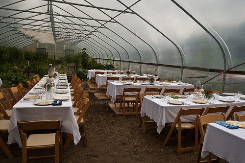 Farm dinner in the greenhouse