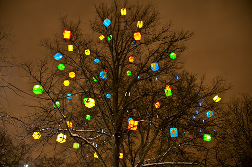 Christmas Decorated Tree, Malmö, Sweden