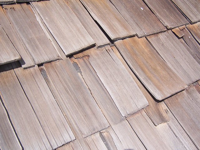 Photos Of Worn Rubber Roofs 36