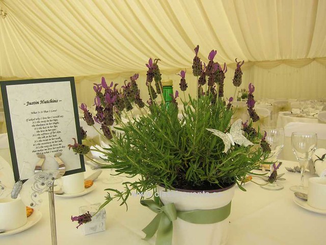 Classic Events Butterfly Themed Country Wedding Love Poems Butterflies