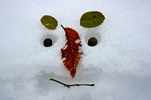 Un sorriso nella neve by ivan.cortellessa