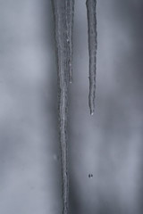 Icicle Droplet Action 