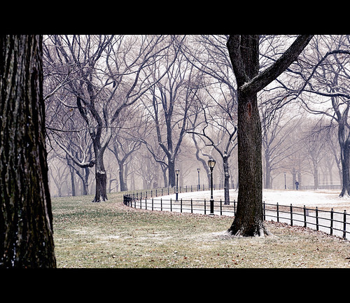 Winter, Central Park