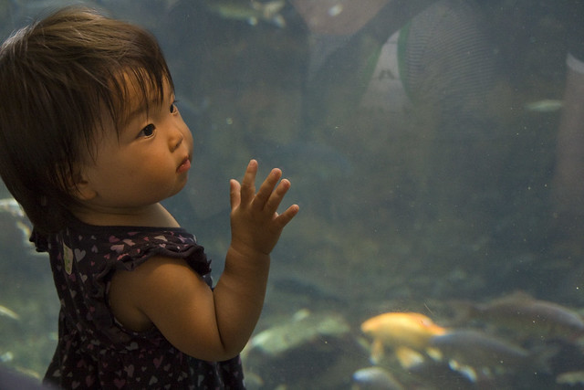 Child at Osaka Aquarium