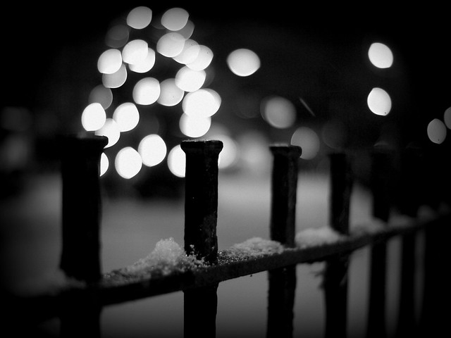 Let it Snow Fence