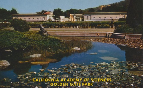 California Academy of Sciences - San Francisco, California