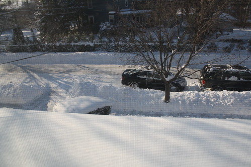 Snow Day, January 12, 2011