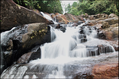 Anagimale Falls, Kanneliya Rain Forest by sumsbond007