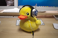 B.Duck Motion Speaker
