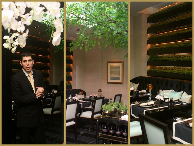 Joël Robuchon Restaurant has The Winter Garden, which houses a tree in the centre of a sunlit room
