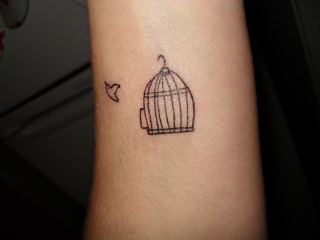 Lesley's bird cage