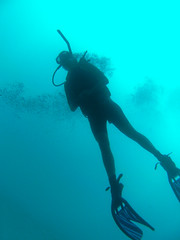 St. Lucia 2011 Scuba Diving