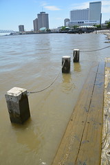 Mississippi River Water Level at New Orleans