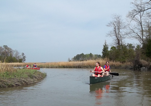 Guided Paddle at York River State Park