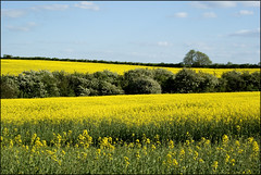 Landscape: Northamptonshire, Bedfordshire & Cambridgeshire
