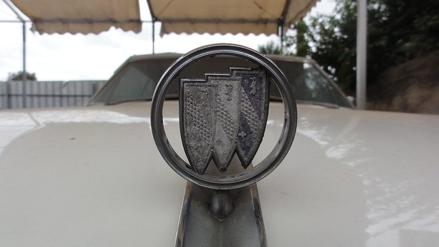 1965 Buick Electra Hood ornament