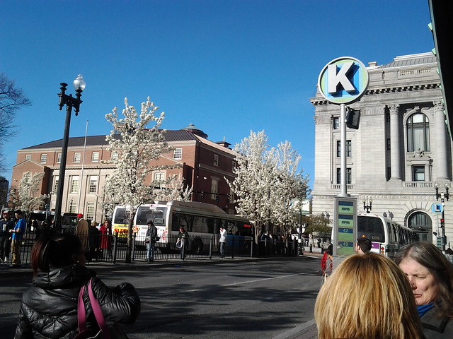 Kennedy Plaza in bloom