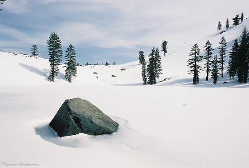 Sierra Snow Scene by Wayne-K