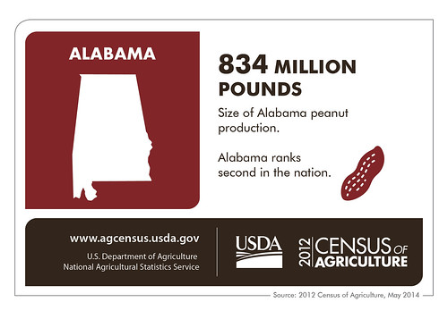 Alabama is more than just cotton these days – chickens and catfish and corn are just a few of the crops grown in the state according to the 2012 Census of Agriculture.