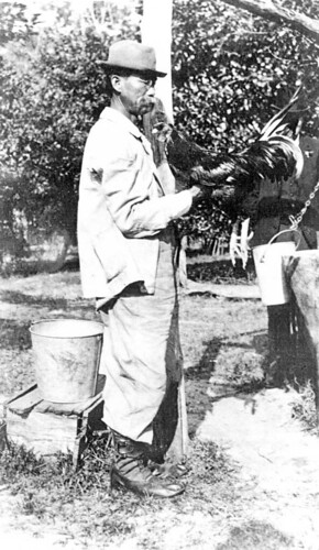 Pictured here with his pet rooster, March, Lue Gim Gong’s work with citrus trees helped develop a frost-tolerant orange after a disastrous winter in Florida.