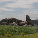 Bismarck Rocks Impressions, Mwanza - IMG_5313