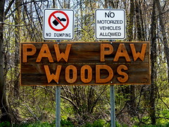 Wallaceburg Paw Paw Woods