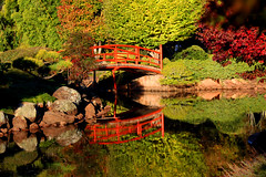 japanese gardens toowoomba