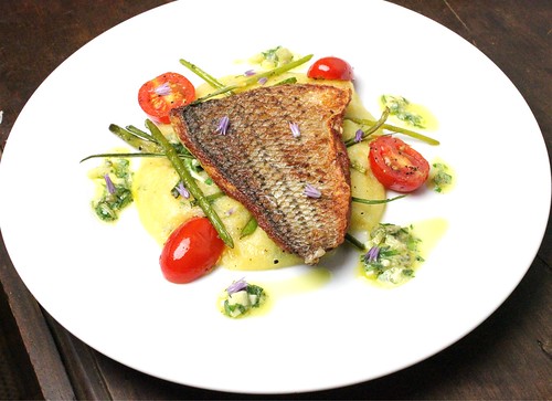 pan fried sea bass with garlic scapes and sauce gribiche