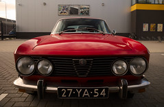 Collection - Alfa Romeo