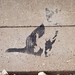 Banksy Cat Close Up