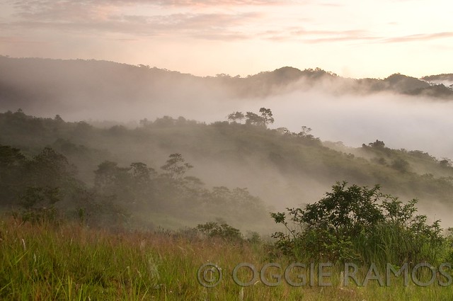 Ilocos Norte - Adams Lovers' Peak Fog and Grassland