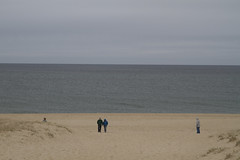 20120325 - Right Whales off Race Point