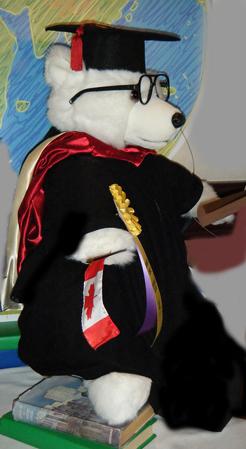 Professor Bear