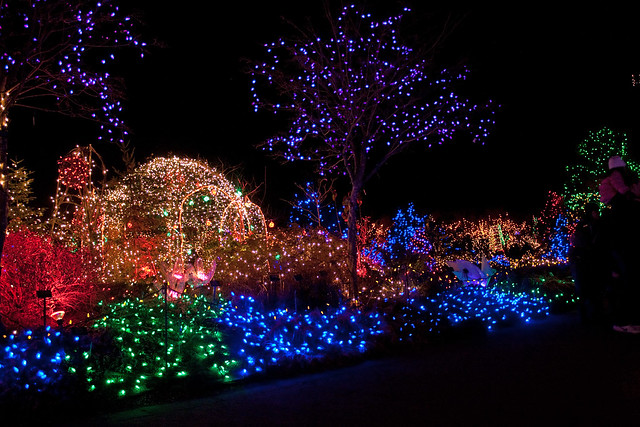 Christmas lights in the Van Dusen Gardens 5