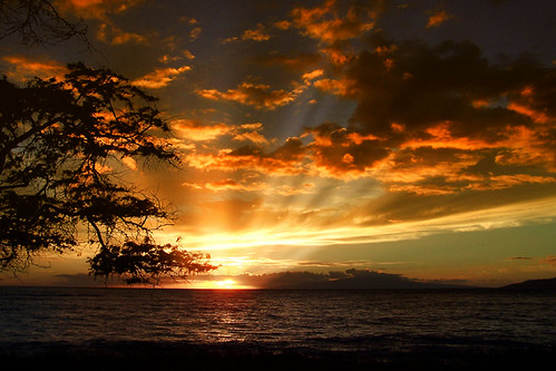 Golden Rays over Maui