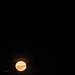 Moon in Lisbon on the 20th January on Vimeo by hugoalexandrecruz