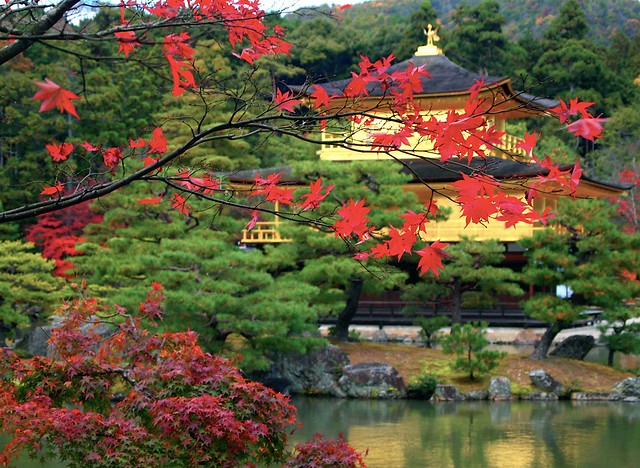 Kinkaku-ji in Autumn：金閣寺
