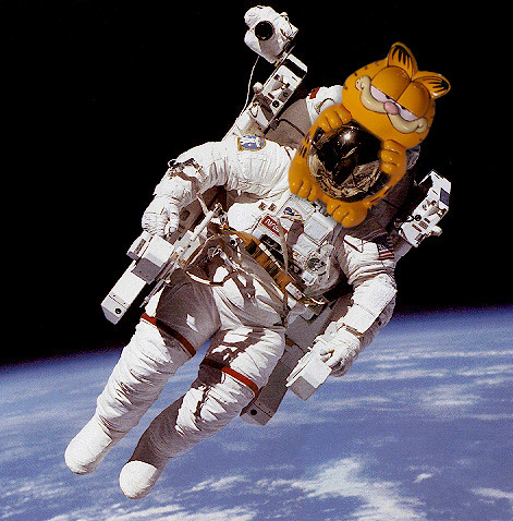 Where No Lazy Cat Has Gone Before—Brian Fukushima, Astronaut (Doesn't Work Mondays)