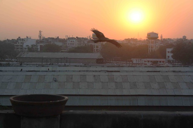 Twilight in Delhi