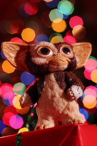 The Gift of Gizmo