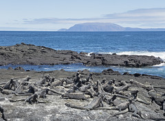 Galapagos Trip 2016