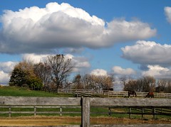 Rural pics: Farms, Barns & Horses