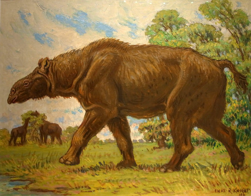 Indricotherium(largest land mammal ever) by Charles Knight at the Los Angeles Museum of Natural History 175A