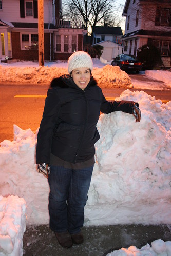 December 29, 2010 Snow Piles
