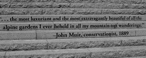 Muir Quote