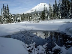 Snowshoeing and Winter by Nina
