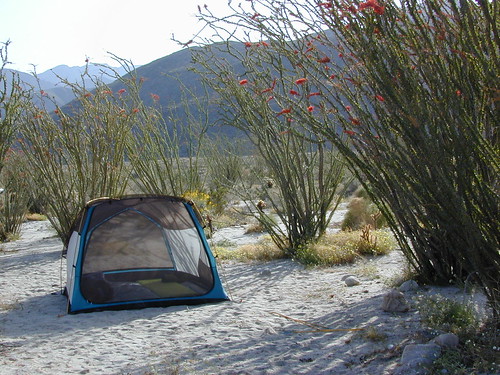 Camping Borrego