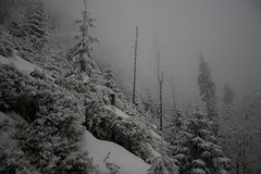 The Beskid Mountains XVIII. Winter Expedition - Winter 2012