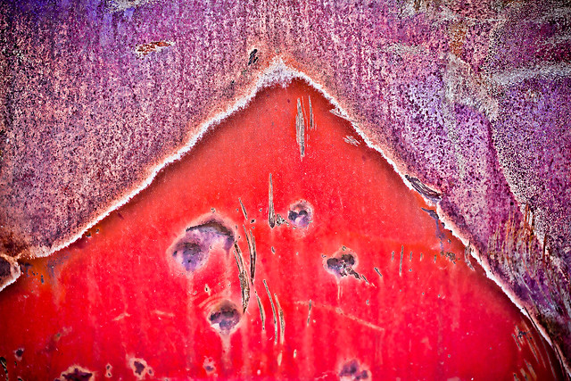 Vibrant Texture Old Ford Mustang Placitas NM
